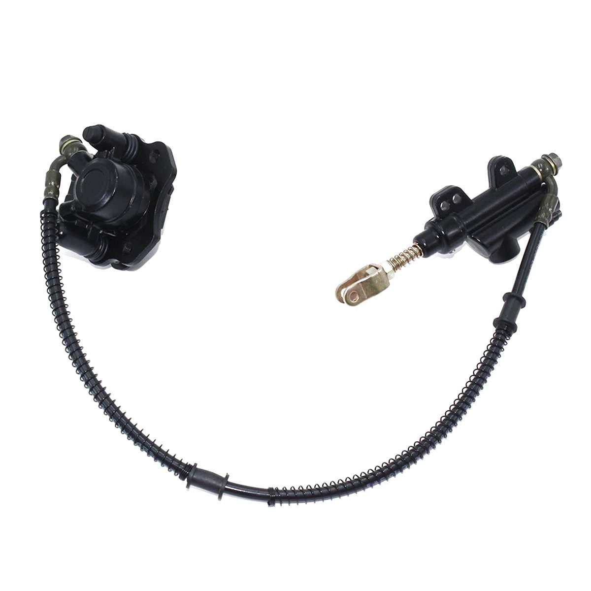 REAR BRAKE ASSY (2015-2019)