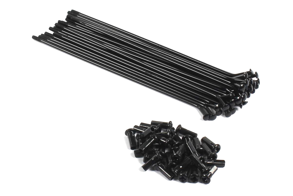 Spokes set front 14 inches