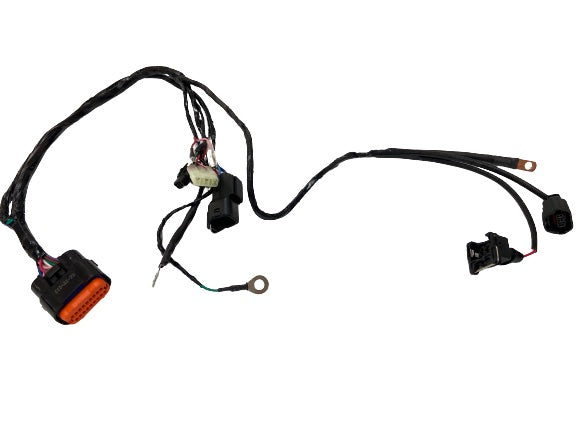 ECU HARNESS